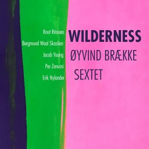 Download track Trees Of Siberia Oyvind BraekkePer Zanussi, Jacob Young, Knut Riisnæs, Erik Nylander, Bergmund Waal Skaslien