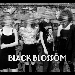 Download track Moment De Vie Black Blossom