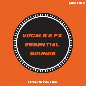 Download track Pads & FX Essential Tools 128 (Tool 14) Noise Reaction