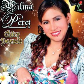 Download track Eres Tu Lo Que Soñaba Vilma Perez Chica Dorada