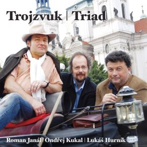 Download track The Mad Soldier's Song, Op. 19 Roman Janál, Prague Radio Symphony Orchestra, Petr Jirikovsky