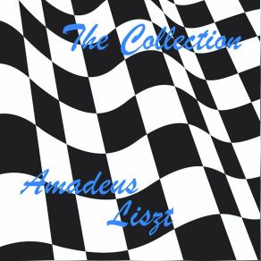 Download track Win The Race (Maxi Version) Amadeus Liszt