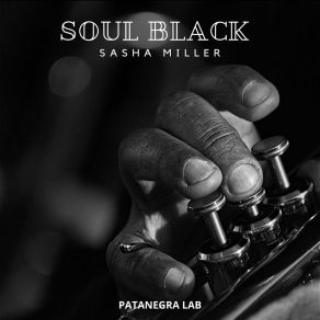 Download track America Of Blacks Sasha Miller