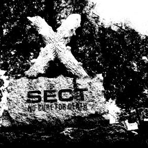 Download track Born Razed The Sect