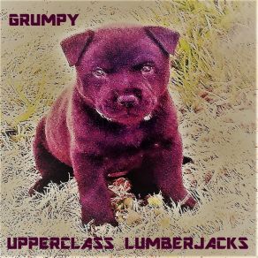 Download track Dinoswords Upperclass Lumberjacks