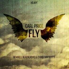 Download track Fly (Blackliquid Remix) Carl PriceBlackliquid