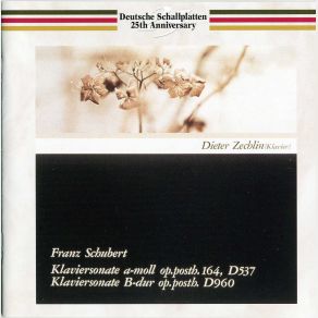 Download track Piano Sonata No. 21 In B Flat, D. 960, 2. Andante Sostenuto Dieter Zechlin