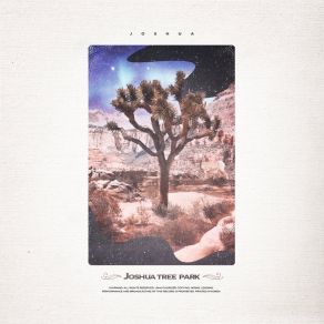 Download track Joshua Tree Park Joshua