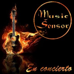 Download track Volaras Toda La Noche Music Sensor