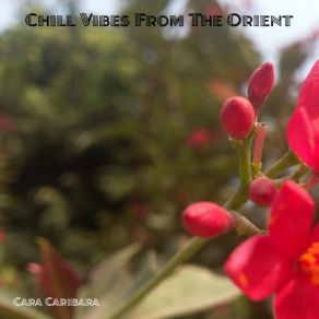 Download track Friend Of The City Cara Caribara