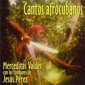 Download track Ay Que Bueno (Los Tambores De Jesus Perez) Merceditas Valdés