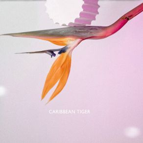 Download track Bit By Bit Caribbean Tiger