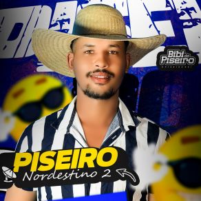 Download track Puto Negócio Bibi Do Piseiro