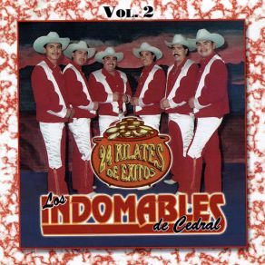 Download track Los Polvos De Estos Caminos Los Indomables De Cedral