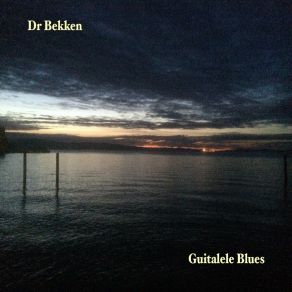 Download track Big Bill Been Here And Gone Dr. BekkenTor Einar Bekken