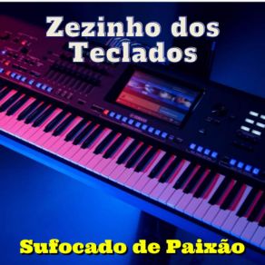 Download track Pra Quê Viver Fingindo Zezinho Dos Teclados