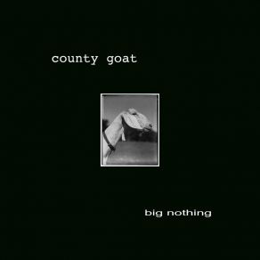 Download track Mr. Everywhere County Goat