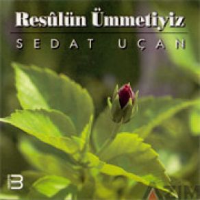 Download track Kardeşim Sedat Uçan