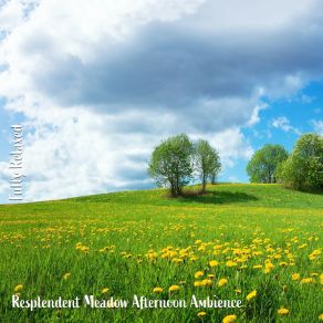 Download track Resplendent Meadow Afternoon Ambience, Pt. 13 Steve Brassel