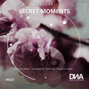 Download track Secret Moments TEELCO