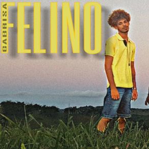 Download track Felino Gabrisa