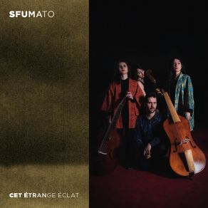 Download track Cervetto: Sonate En Trio, Op. 1 No. 3: II. Allegro Cet Étrange Éclat