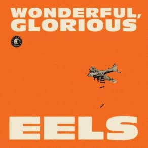 Download track I Like The Way This Is Going (Live At Kexp) Eels