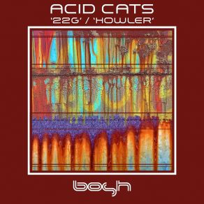 Download track 22G Acid Cats