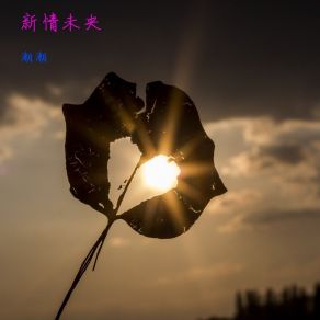 Download track 新情未央 Chao-Chao