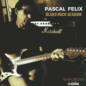 Download track Nobody Loves Me Like I Love Myself (Cover Popa Chubby) Felix Pascal