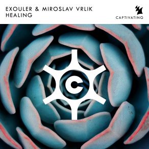 Download track Healing (Extended Mix) Miroslav Vrlik, Exouler