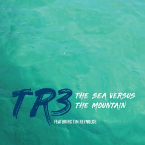 Download track On This Mountain, Born In Clouds TR3Tim Reynolds