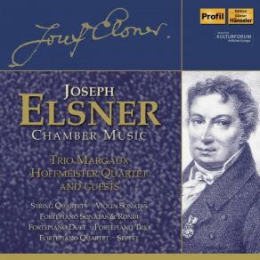 Download track Rondo A La Krakowiak B-Flat Major Hoffmeister Quartet, Margaux Trio, Joseph Elsner