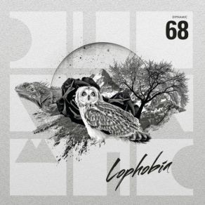 Download track Lophobia (Original Mix) Adriatique