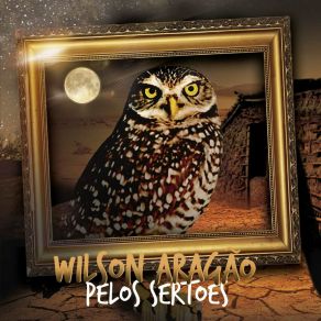 Download track Capim-Guiné Wilson Aragão