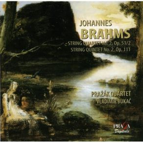 Download track 1. String Quartet No. 2 In A Minor Op. 51 No. 2 1873: I. Allegro Non Troppo Johannes Brahms