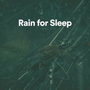 Download track Under A Cloud Of Rain 24H Rain Sounds