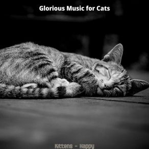 Download track Fantastic (Training Cats) Glorious Music For Cats