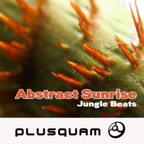 Download track Jungle Beats Abstract Sunrise