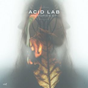 Download track Untitled Spirits Acid Lab