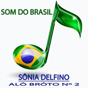 Download track Pouca Duração Sonia Delfino