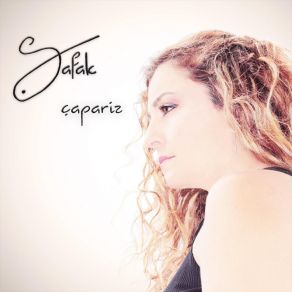 Download track Seulement Gris Safak