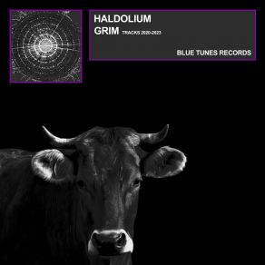 Download track My Ruin (Original Mix) HaldoliumJan Schmidt