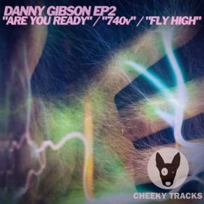 Download track Fly High (Radio Edit) Danny Gibson