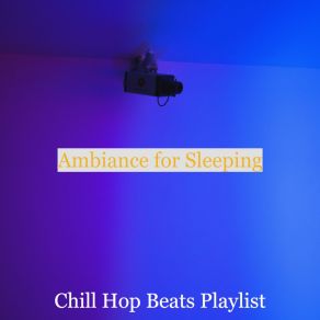 Download track Spectacular Bgm For Sleeping Chill Hop Beats Playlist