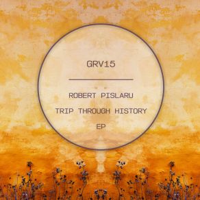 Download track Electrode (Original Mix) Robert Pislaru