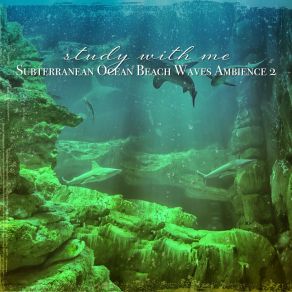 Download track Subterranean Ocean Beach Waves Ambience, Pt. 15 Sebastian Riegl