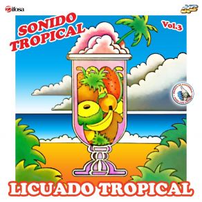 Download track Mosaico Tropical 3: Juana La Cubana / Dime Que Comes Morena / La Coloreteada / El Bailongo / Nena Vamos Hacer Nono / El Desfile / El Tiburon Comelón Sonido Tropical