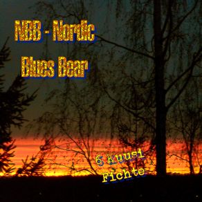 Download track 6 Kuusi Fichte NBB Nordic Blues Bear