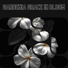 Download track Gardenia Grace In Bloom (Sea Whisper) Surrounding Life